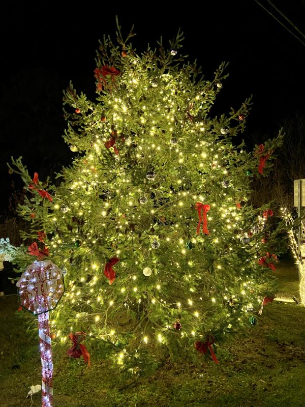 The Christmas tree at Fifer’s Farm Market welcomes travelers entering Dewey Beach.